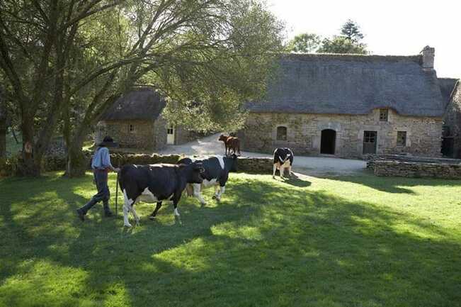 Poul Fetan - Quistinic - Morbihan Bretagne sud