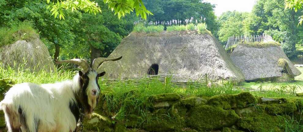 Village de l'An Mil - Melrand - Morbihan Bretagne Sud
