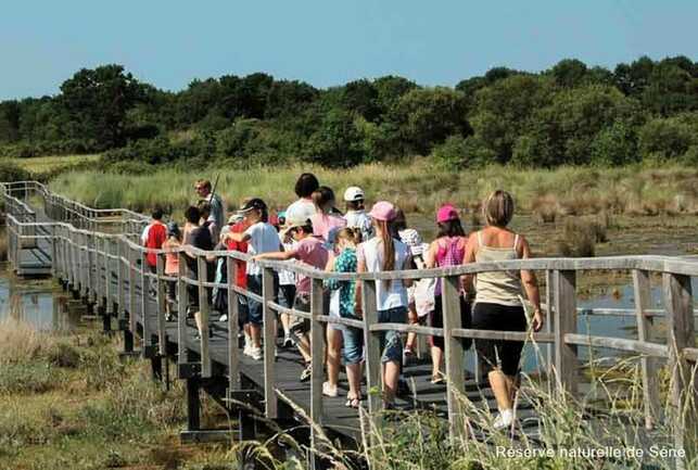 Réserve-naturelle-Séné-Golfe-du-Morbihan-Bretagne sud