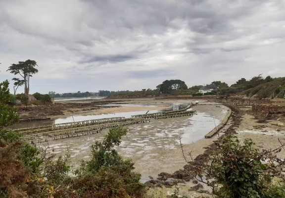 tel_quelque chose en nous de poésie_les chantiers ostréicoles du Sach
