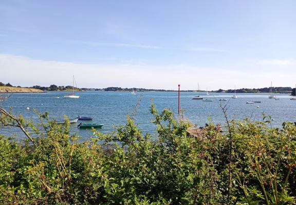 IMG_20240608_171958198_MFNR