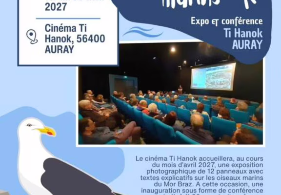 Expo - A la découverte des oiseaux marins
