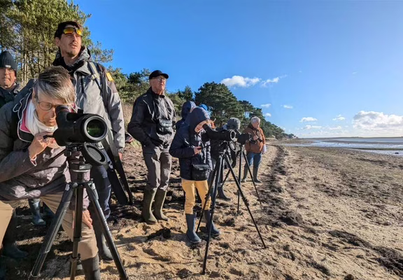 Baie de Plouharnel : le refuge des oiseaux migrateurs - Dunes Sauvages