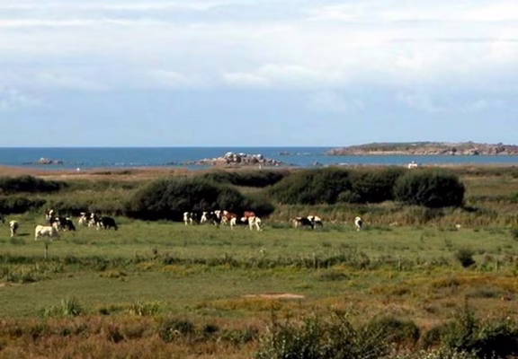 Gîte Ty Gwenn - ERDEVEN- BRETAGNE