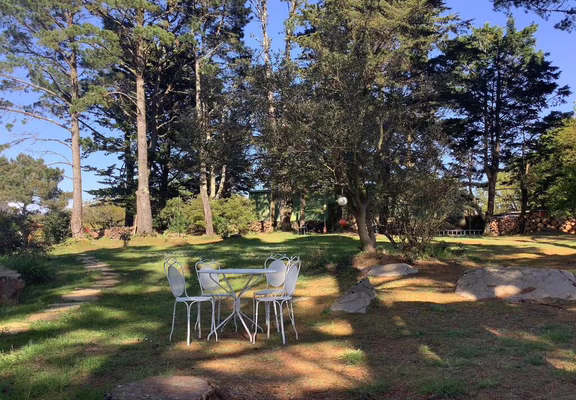 arrière du jardin