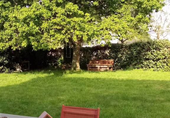 Jardin