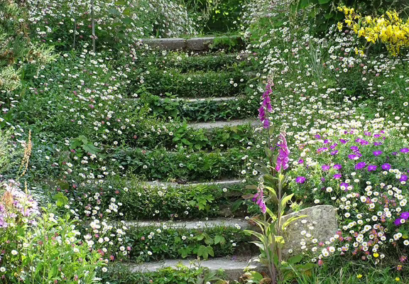 escalier fleuri