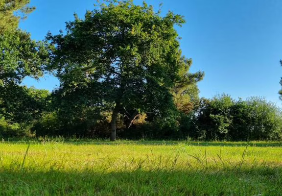 Locmariaquer_Camping de la Tour_Espace zen