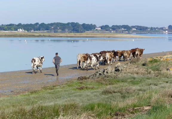 La Ferme de Saint Pierre