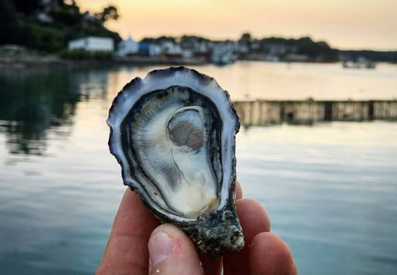 Perle de Quéhan  Saint-Philibert - Morbihan Bretagne Sud