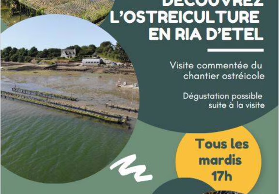 Affiche visite