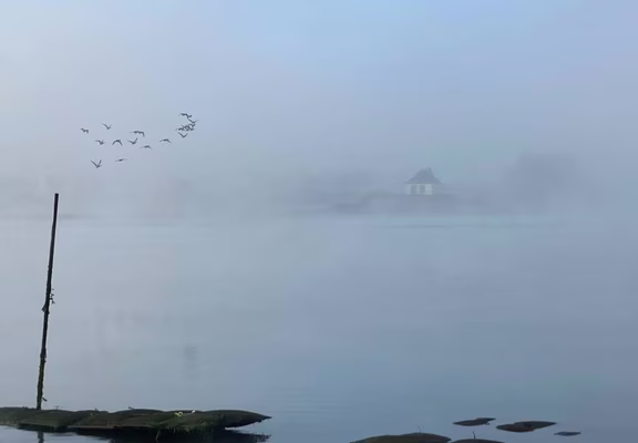 Belz- Larmor Ostrea - Vol de canards