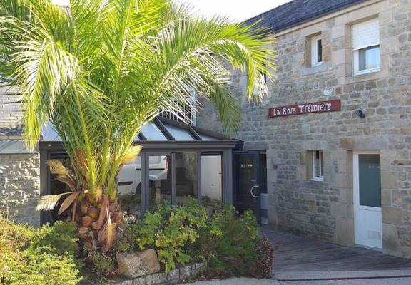 Devanture rose trémière